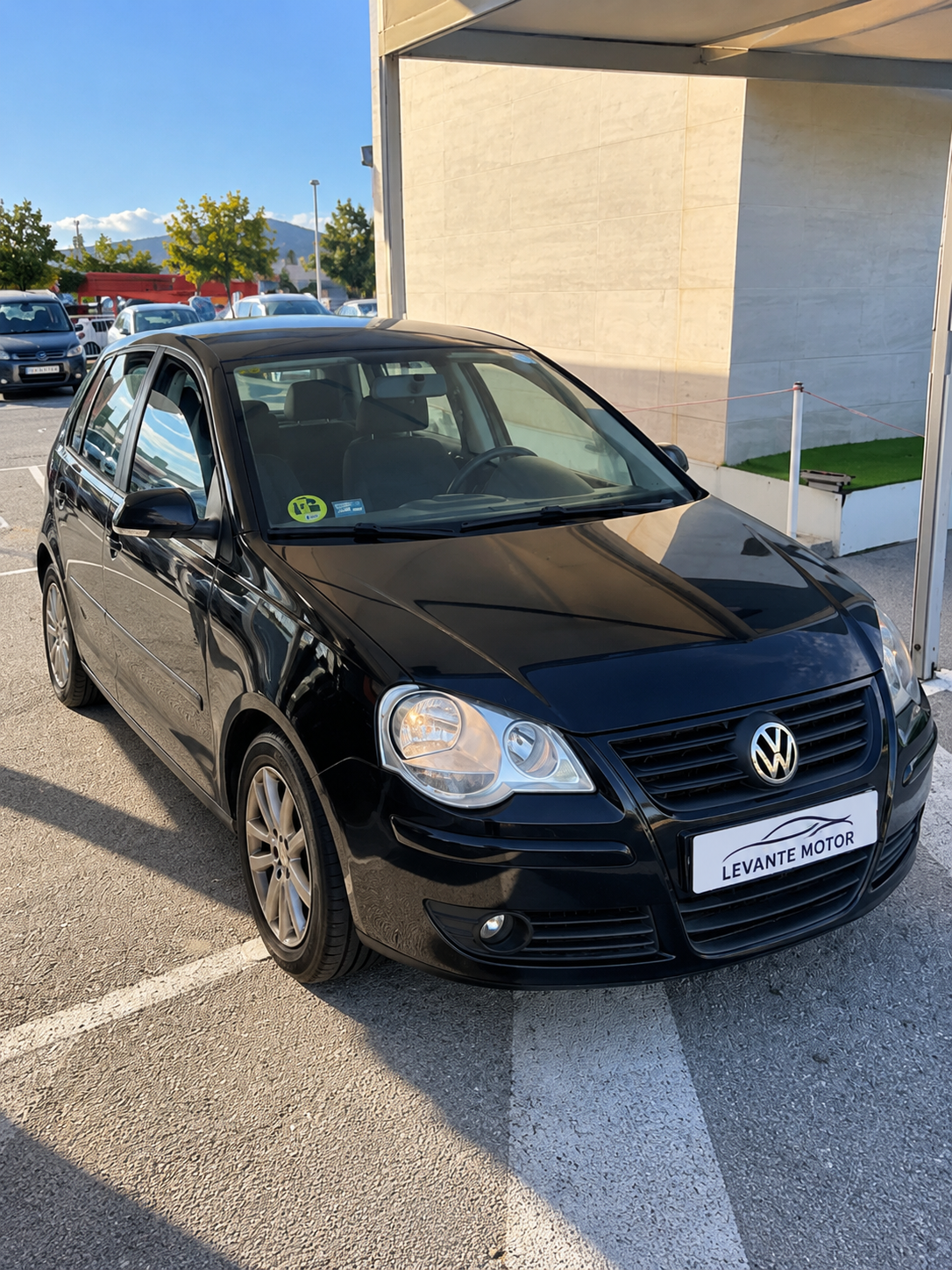 Volkswagen Polo 1.9 TDI GT 100 CV 2007